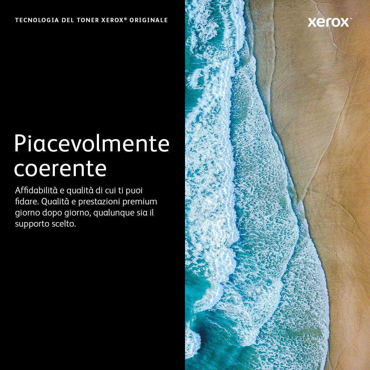 Xerox Cartuccia toner Nero a Alta capacità da 3000 Pagine per Phaser 3052/3260, WorkCentre 3215/3225 (106R02777) [106R02777]