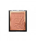 WET N WILD COLOR ICON TERRA ABBRONZANTE PALM BEACH READY E739A