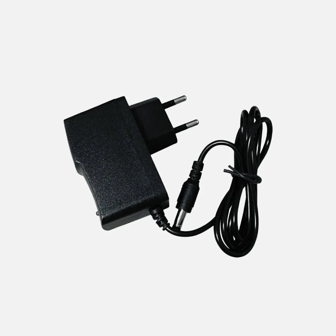 Carica Batterie