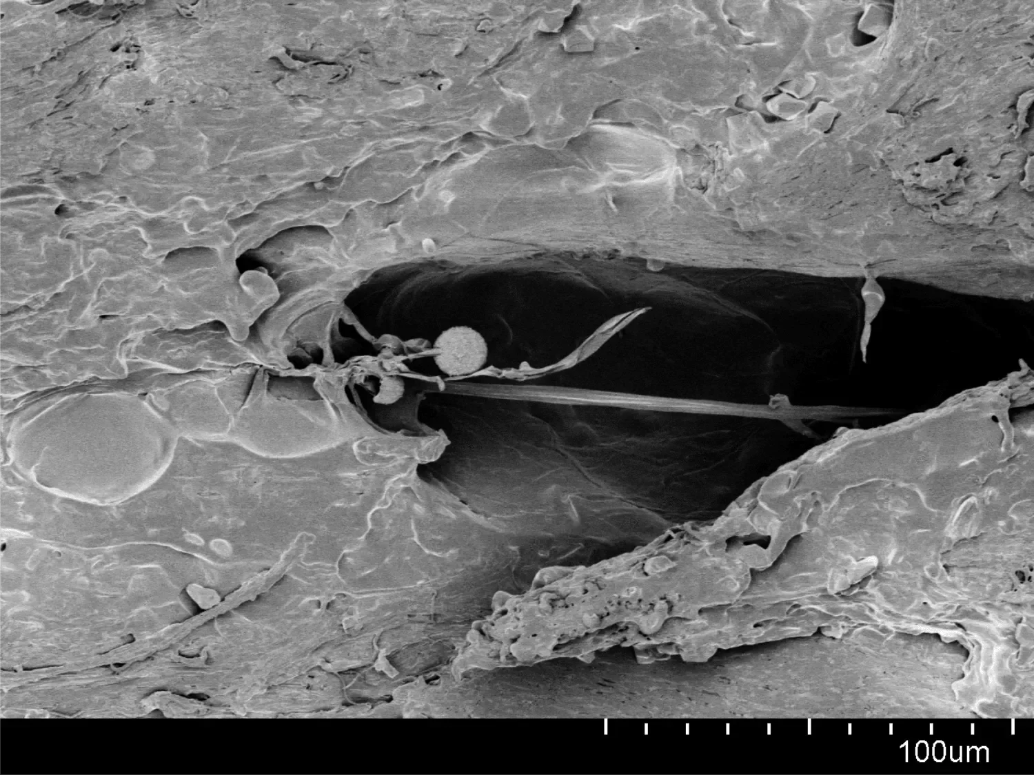 FILAMENTO LAYFILAMENTS GROWLAY - 1,75 MM - 250 G - BIANCO