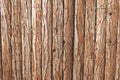 Arella Wood 150x300 cm in Corteccia di Pino – Recinzione Naturale con Filo Plastificato