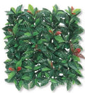 Siepe Sempreverde Redplast 100x100 cm – Realistica, resistente e decorativa