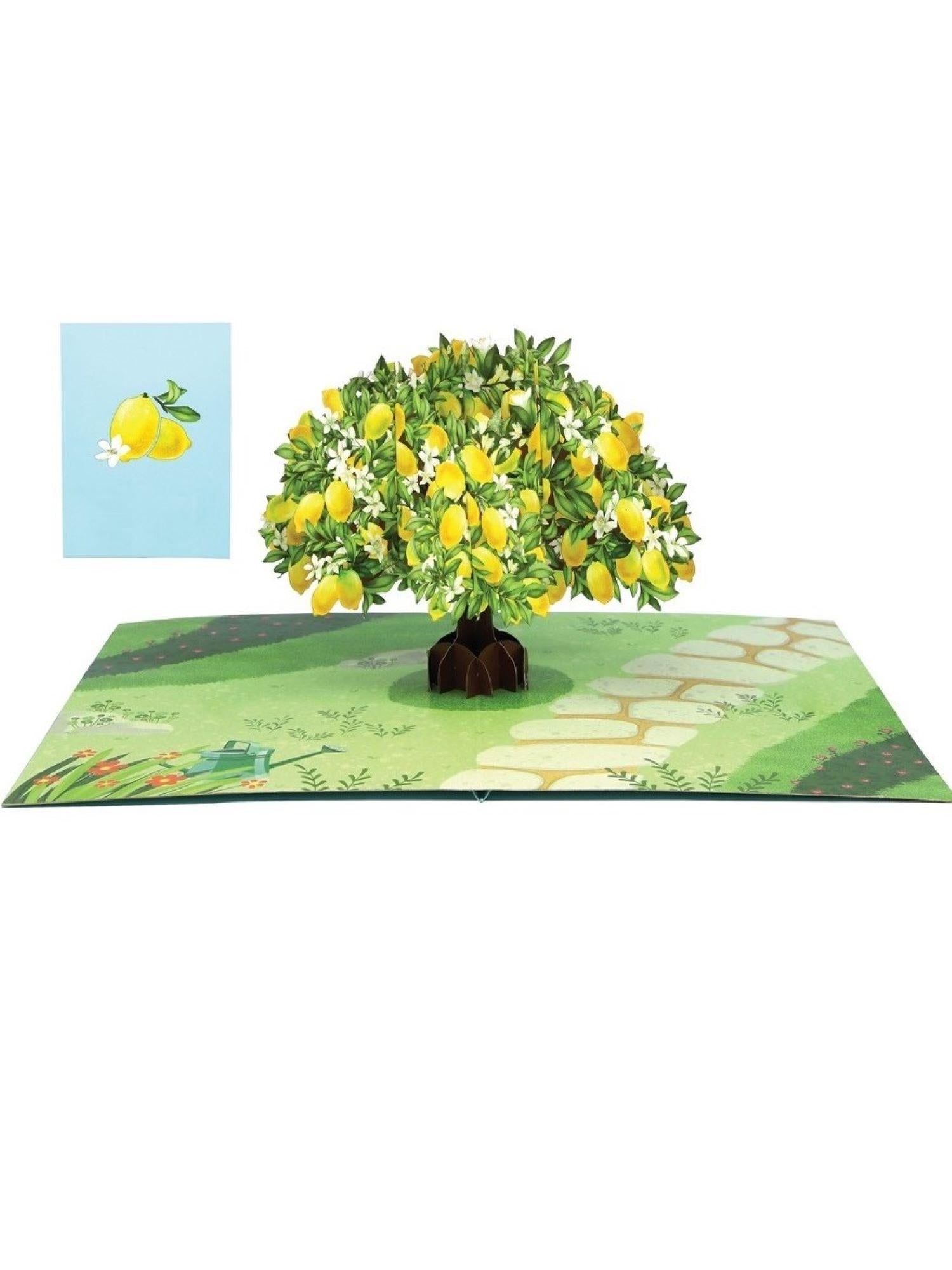 Origamo biglietto di auguri pop up con albero di limoni