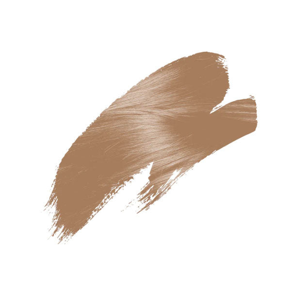 LISAP RE-TOUCH SPRAY RITOCCO CAPELLI BIONDO SCURO 75 ML