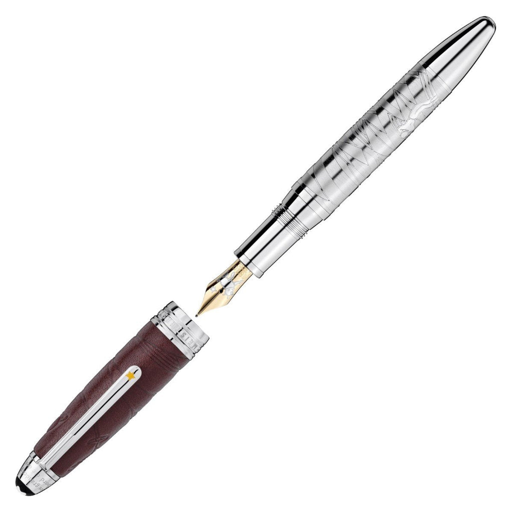 Montblanc stilografica Meisterstuck Le Petit Prince and Aviator Doué LeGrand punta M 119684