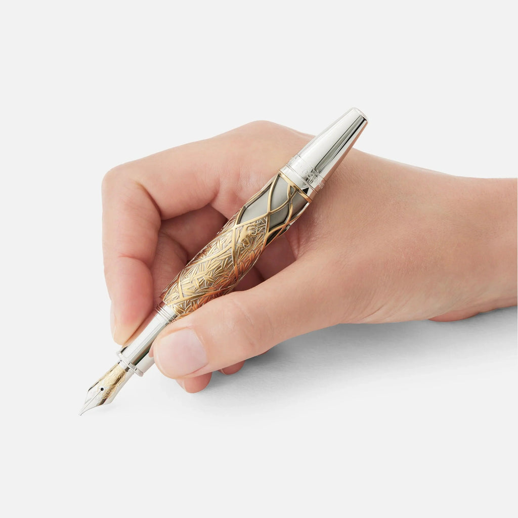 Montblanc stilografica Writers Edition Homage to Brothers Grimm punta M edizione limitata 1812 pezzi 128848