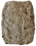 Schiacciata con farina integrale