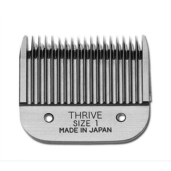 TESTINA THRIVE 1 MM 3