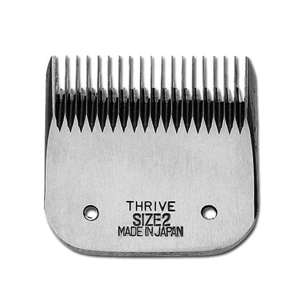 TESTINA THRIVE 2 MM 6