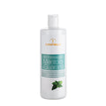 XANITALIA PREMIUM OLIO MASSAGGIO MENTA GUARANA 500 ML